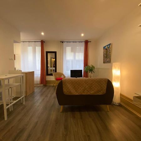 L'Ours De Colmar - Appartements En Centre Ville Eksteriør bilde