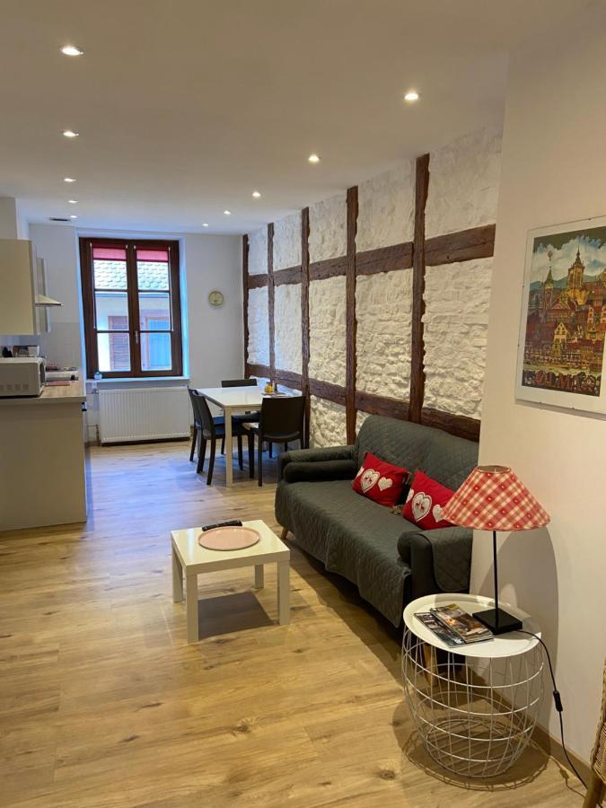 L'Ours De Colmar - Appartements En Centre Ville Eksteriør bilde
