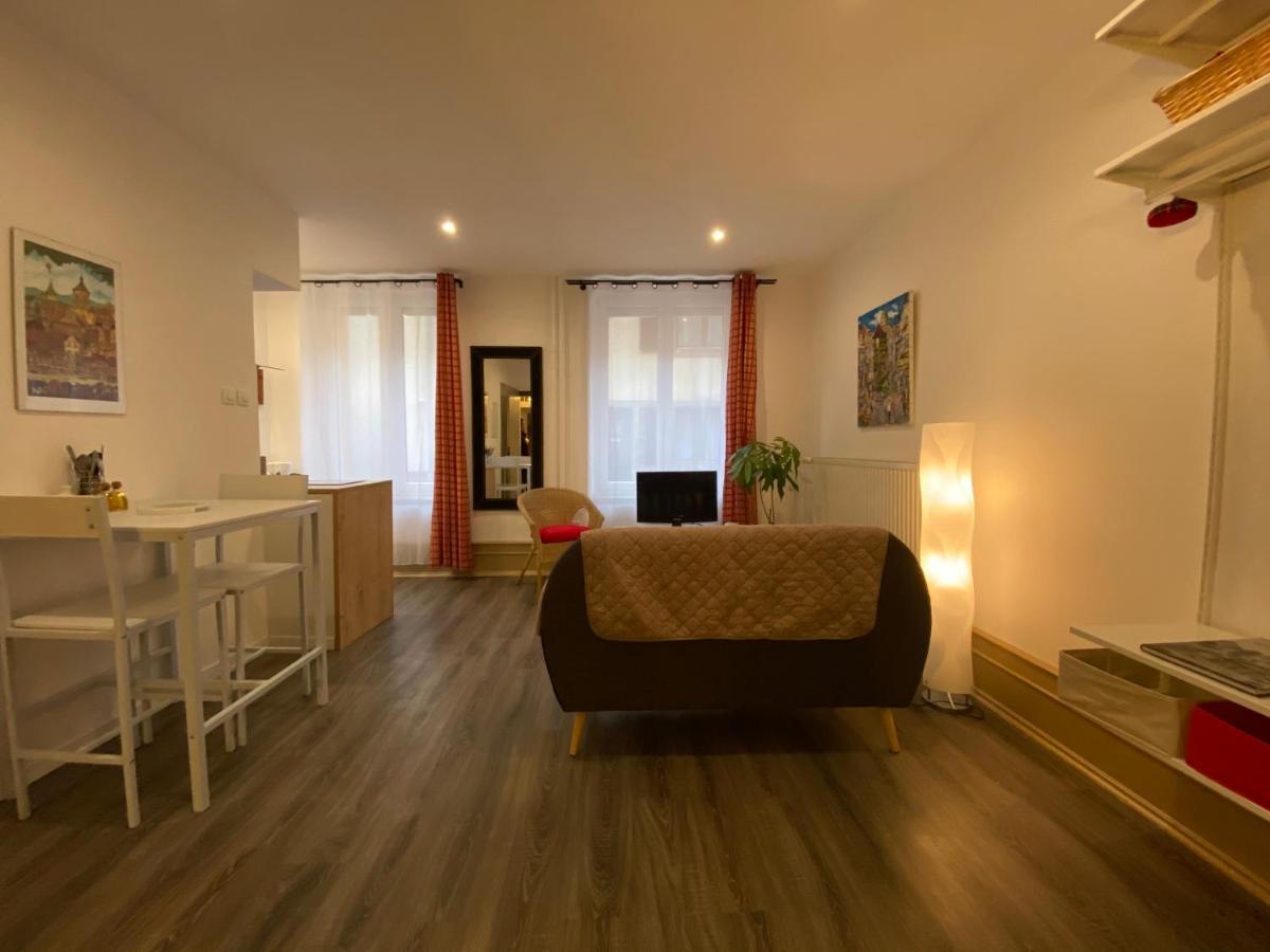 L'Ours De Colmar - Appartements En Centre Ville Eksteriør bilde
