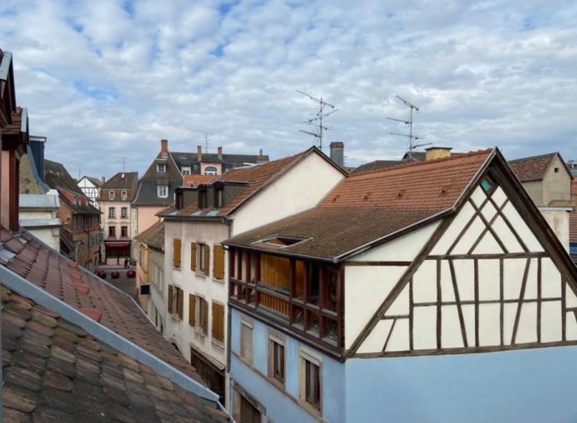 L'Ours De Colmar - Appartements En Centre Ville Eksteriør bilde