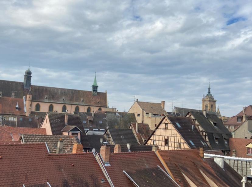 L'Ours De Colmar - Appartements En Centre Ville Eksteriør bilde