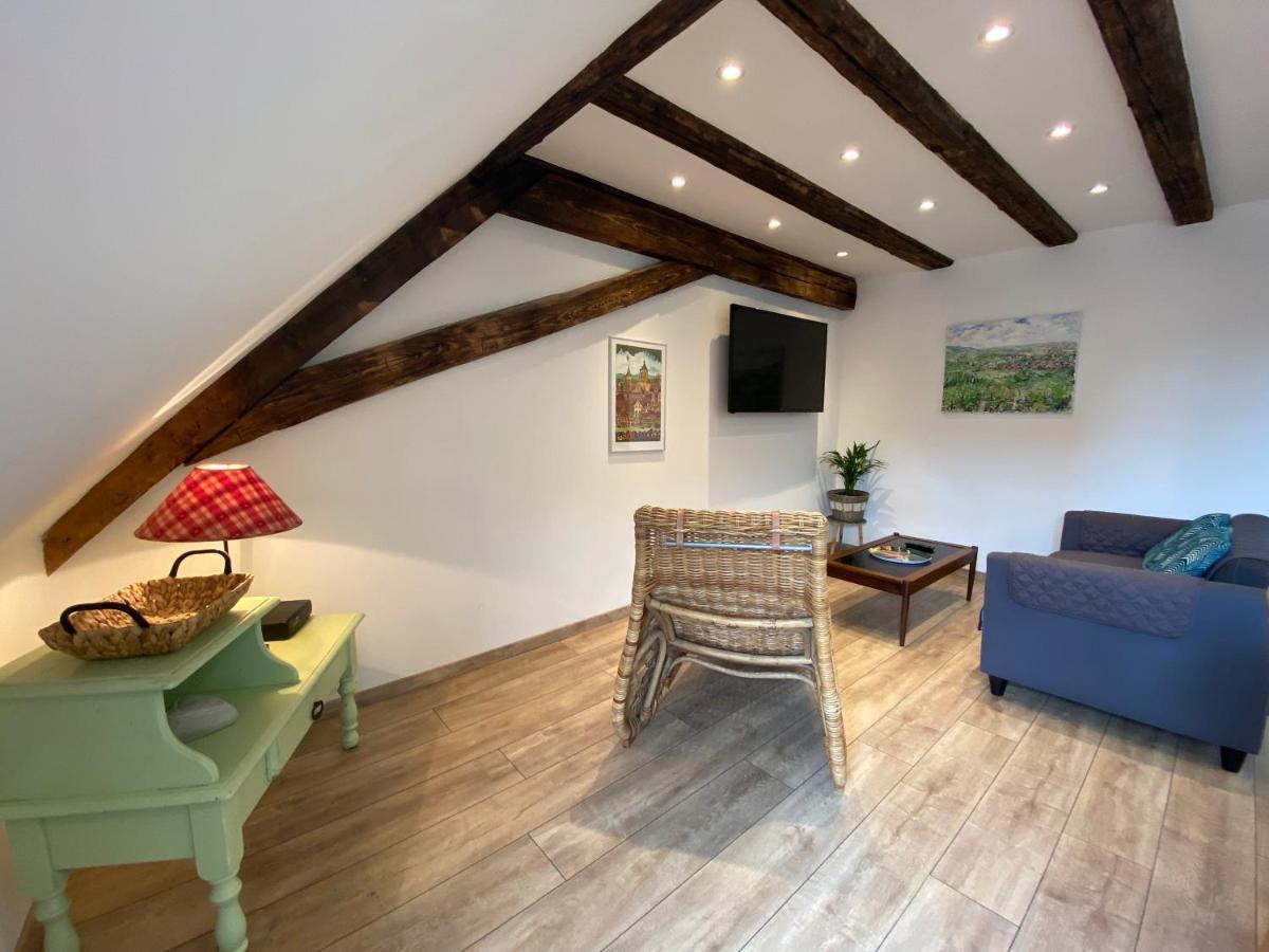 L'Ours De Colmar - Appartements En Centre Ville Eksteriør bilde