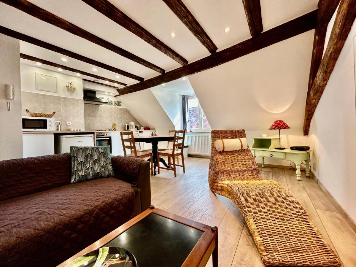 L'Ours De Colmar - Appartements En Centre Ville Eksteriør bilde